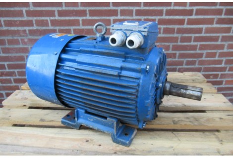 22 KW 3000 RPM As 48 mm B3  IE3. USED